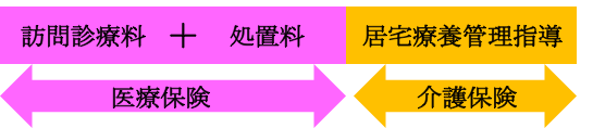 ふかつ歯科 訪問歯科 診療費保険適用図